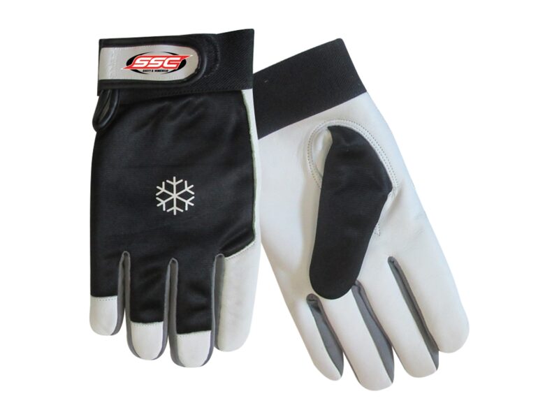 Winter Glove