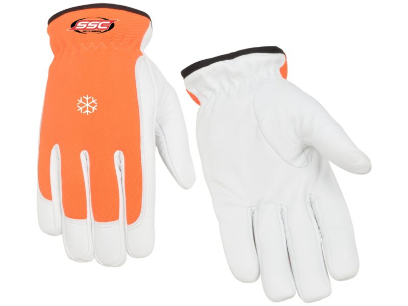 Winter Glove