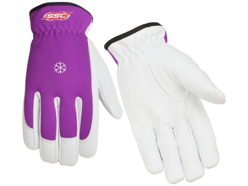 Winter Glove