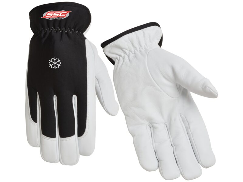 Winter Glove